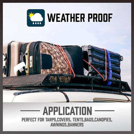 30-Piece Premium Bungee Cord Assortment Includes 10 to 40 Bungee Cords, Canopy Ties & Tarp Clips Kings Warehouse 