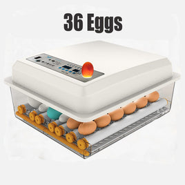 36 Egg Incubator Fully Automatic Digital Thermostat Chicken Eggs Poultry KingsWarehouse