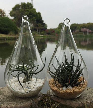 4 Pack of Hanging Clear Glass Tealight Candle Holder Tear Drop Pear Hour Glass Shape - 20cm High Terrarium Plant Mini Garden Holder Decoration Craft Gift Kings Warehouse 