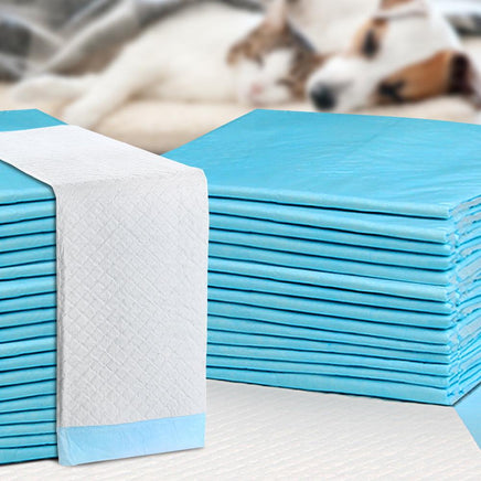 400pcs Puppy Dog Pet Training Pads Cat Toilet 60 x 60cm Super Absorbent Indoor Disposable Cat Supplies Kings Warehouse 