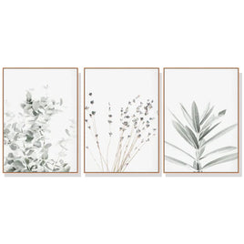 40cmx60cm Lavender Eucalyptus 3 Sets Wood Frame Canvas Wall Art Kings Warehouse 