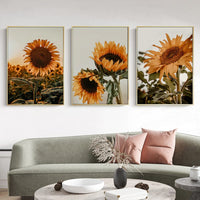 40cmx60cm Sunflower 3 Sets Gold Frame Canvas Wall Art Kings Warehouse 