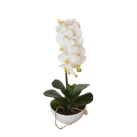 46cm Butterfly Orchid - White Home & Garden > Artificial Plants Kings Warehouse 