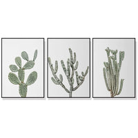 50cmx70cm Desert 3 Sets Black Frame Canvas Wall Art Kings Warehouse 