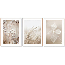50cmx70cm Dried Flower 3 Sets Wood Frame Canvas Wall Art Kings Warehouse