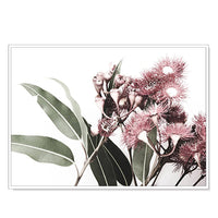 50cmx70cm Eucalyptus in Bloom White Frame Canvas Wall Art Kings Warehouse 