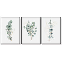 50cmx70cm Eucalyptus Plant 3 Sets Black Frame Canvas Wall Art Kings Warehouse 