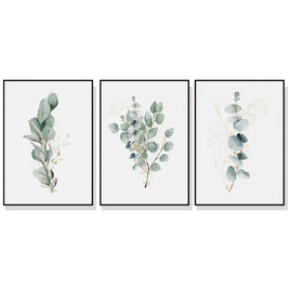 50cmx70cm Eucalyptus Plant 3 Sets Black Frame Canvas Wall Art Kings Warehouse 