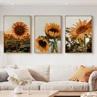 50cmx70cm Sunflower 3 Sets Gold Frame Canvas Wall Art Kings Warehouse 