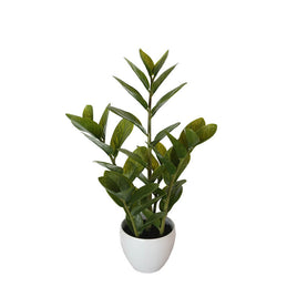 60cm Potted Zanzibar Home & Garden > Artificial Plants Kings Warehouse 