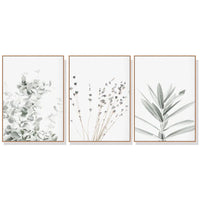 60cmx90cm Lavender Eucalyptus 3 Sets Wood Frame Canvas Wall Art Kings Warehouse 