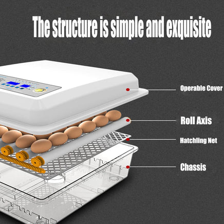 64 Egg Incubator Fully Automatic Digital Thermostat Chicken Eggs Poultry KingsWarehouse 