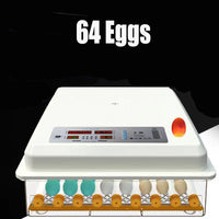 64 Egg Incubator Fully Automatic Digital Thermostat Chicken Eggs Poultry KingsWarehouse 