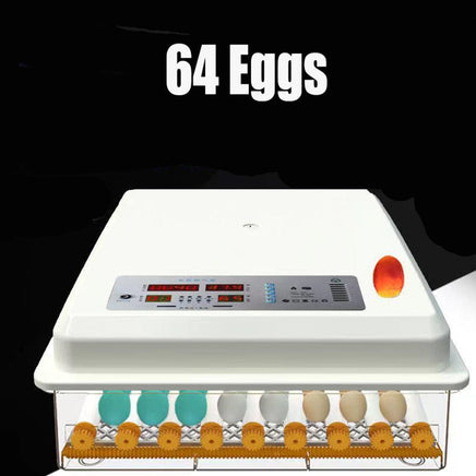 64 Egg Incubator Fully Automatic Digital Thermostat Chicken Eggs Poultry KingsWarehouse 