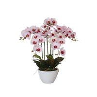 66cm Multi Butterfly Orchid - Pink Home & Garden > Artificial Plants Kings Warehouse 