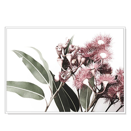70cmx100cm Eucalyptus in Bloom White Frame Canvas Wall Art Kings Warehouse 