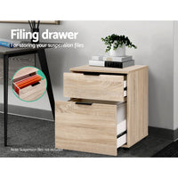 Filing Cabinet 2 Drawer Office Storage Organiser