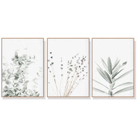 50cmx70cm Lavender Eucalyptus 3 Sets Wood Frame Canvas Wall Art