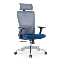 EKKIO Ava - Office Chair (Grey & Blue) EK-OC-102-SQ