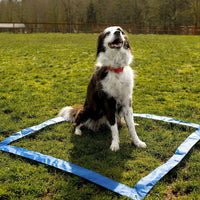 Floofi Dog Agility Training Set FI-DGT-100-SL / FI-DGT-100-YX