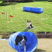 Floofi Dog Agility Training Set FI-DGT-100-SL / FI-DGT-100-YX