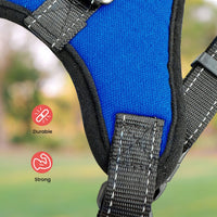 FLOOFI Dog Harness L Size (Blue) FI-PC-155-XL