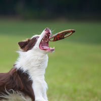 Major Dog Mini Frisbee - Fetch Toy