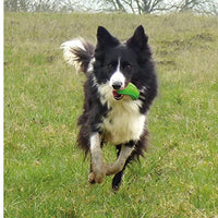 Major Dog Zucchini Treat Toy