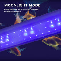 11W Aquarium Blue White LED Light for Tank 50-70cm