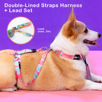 Dog Double-Lined Straps Harness and Lead Set Leash Adjustable M SWEET GREEN
