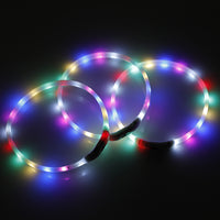 2 X YES4PETS Medium 55CM LED Dog Collar USB Rechargeable Night Glow Flashing Light Up Safety Pet Collars