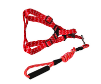 YES4PETS 2 X Medium Pet Dog Cat Puppy Kitten Rabbit Dog Harness Collar leash lead 5 Color