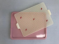 YES4PETS Large Portable Dog Potty Training Tray Pet Puppy Toilet Trays Loo Pad Mat Pink