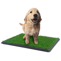 YES4PETS XL Indoor Dog Puppy Toilet Grass Training Mat Loo Pad Potty W 2 Grass