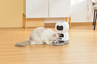 YES4PETS 3.5L Visible Automatic Digital Pet Dog Cat Feeder Food Bowl Dispenser