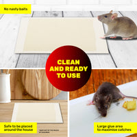 SAS Pest Control 48PCE Rat Mice Traps Ready To Use Disposable 17 x 23cm