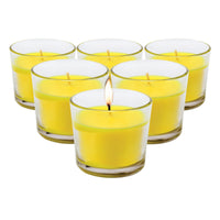Garden Greens 24PCE Citronella Scented Glass Candle Pots 120g