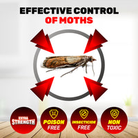 SAS Pest Control 144PCE Pantry Moth Traps Non-Toxic Fast Acting 13 x 10cm