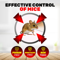 SAS Pest Control 24PCE Mouse Traps Catch & Release Trap Door Mechanism 19cm