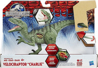 Hasbro Jurassic World Growler Velociraptor  Charlie  With Sound and Lights 4+