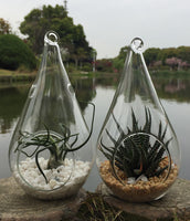 10 Pack of Hanging Clear Glass Tealight Candle Holder Tear Drop Pear Hour Glass Shape - 20cm High Terrarium Plant Mini Garden Holder Decoration Craft Gift