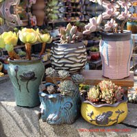 4/5/6 Pots Set Ceramic Clay Pottery Pots Succulent Flower Planter Draining Hole(Style 03# 5 Pots Set)