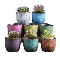 Ceramic Clay Pottery Pots Set Succulent Flower Planter Series 03(Style 01# 8 Pots Set)