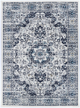Provence Prov22 Cream/D.Blue 80X300