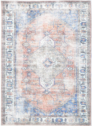 vintage-crown-pissarro-terracotta-sky-distressed-vintage-rug 80x500