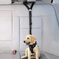 iBuddy Dog Seat Belt for Cars, Headrest Restraint with Locking Carabiner