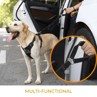 iBuddy Dog Seat Belt for Cars, Headrest Restraint with Locking Carabiner
