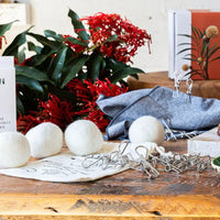 Eco Friendly Laundry Bundle | Pegs & Dryer Balls