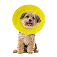 Pet Dog Cat Elizabethan Collar Adjustable Cone Mesh Recovery Multicolor