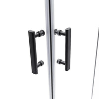 Adjustable 1200x900mm Double Sliding Door Glass Shower Screen in Black